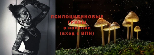 a pvp Кодинск