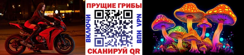 Купить закладки Вяземский Псилоцибиновые грибы Psilocybe