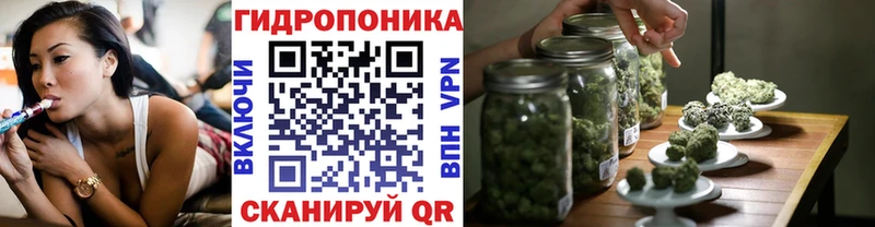 Купить где  Вяземский  Каннабис план 